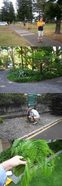 Landscape Assessment